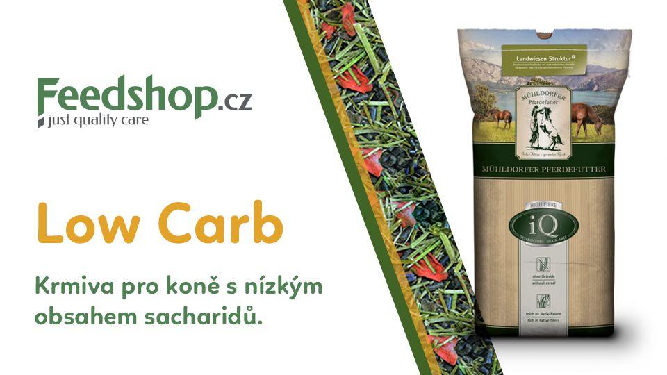 Krmivo bez obilovin podporuje zdravou výživu a odlehčuje metabolismus