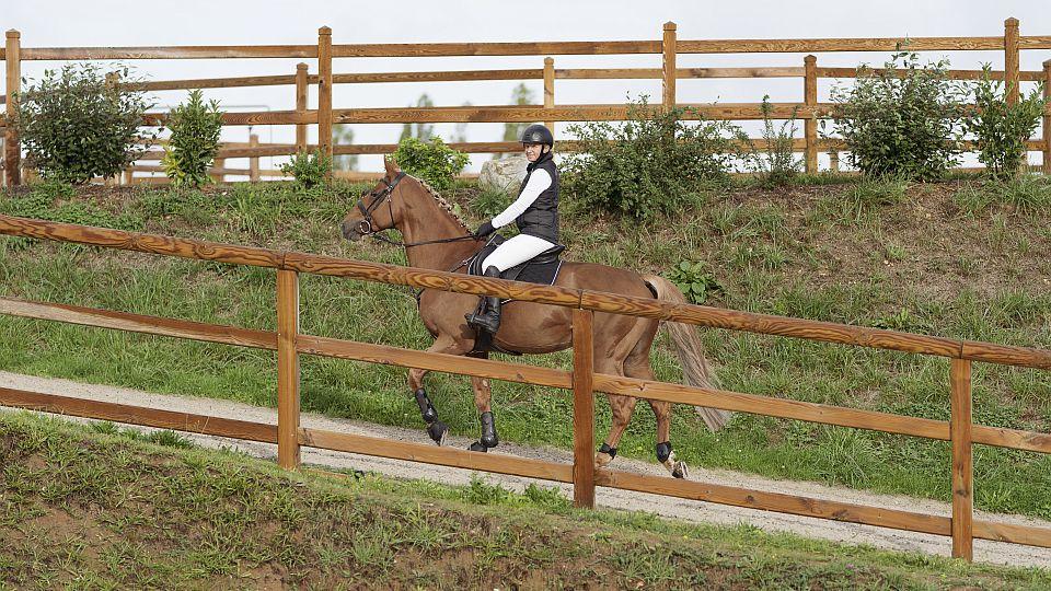 Podzim je tady. Připravte se na letošní Hubertovy jízdy v Decathlonu