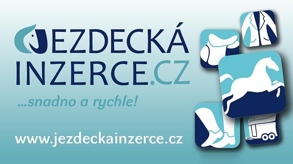 Jezdecká inzerce TOP10: To byly inzertní hity 42. týdne 2021