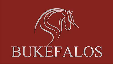 SMS soutěž o 500 Kč s Bukefalos v 23. týdnu 2016