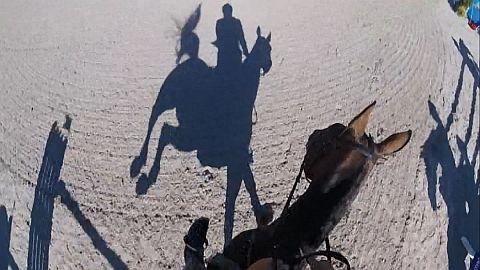 Závody očima jezdců při ČSP VC Zduchovic 2016