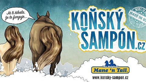 Hýčkejte sebe i své chlupáče