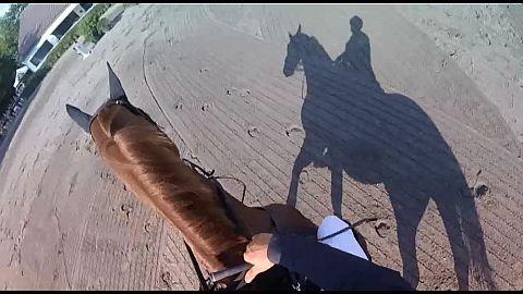 Závody očima jezdců při ČSP VC Plzně 2016