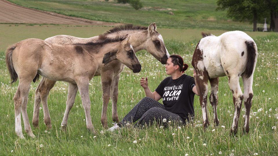 Marie Čiplová: Jako umělec mám v chovu koní větší cit pro určitou harmonii