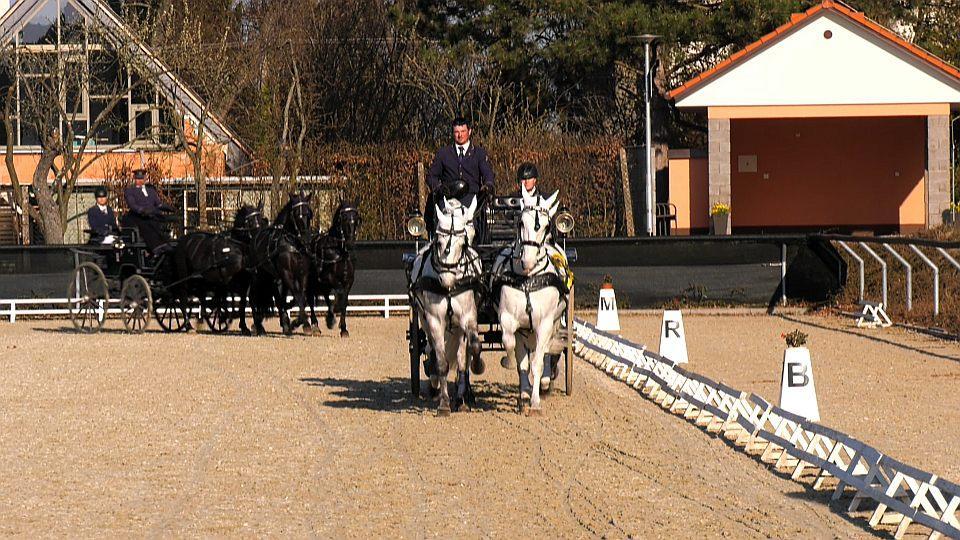 Nesvačil: Skládám novou čtyřku. Ambice pro Kladruby nemám, vrchol je Aachen