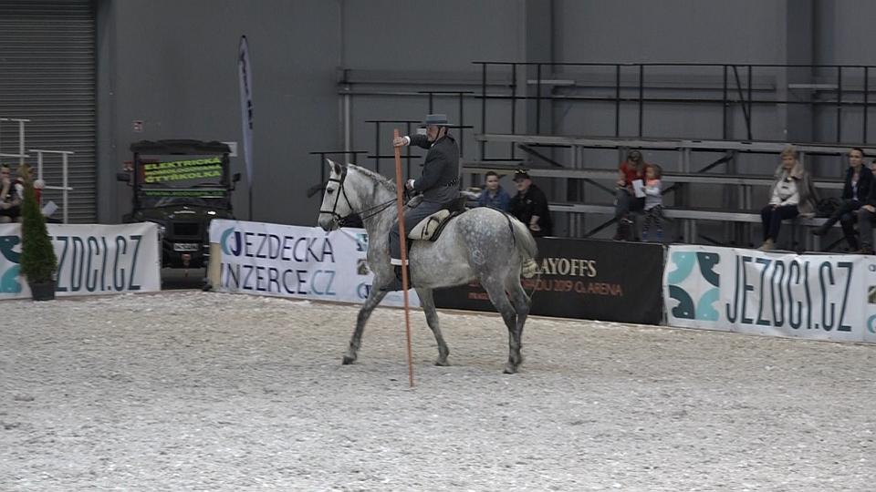 Re-live: Pražské Letňany žijí pro koně. Úvodní den For Horse na EquiTV