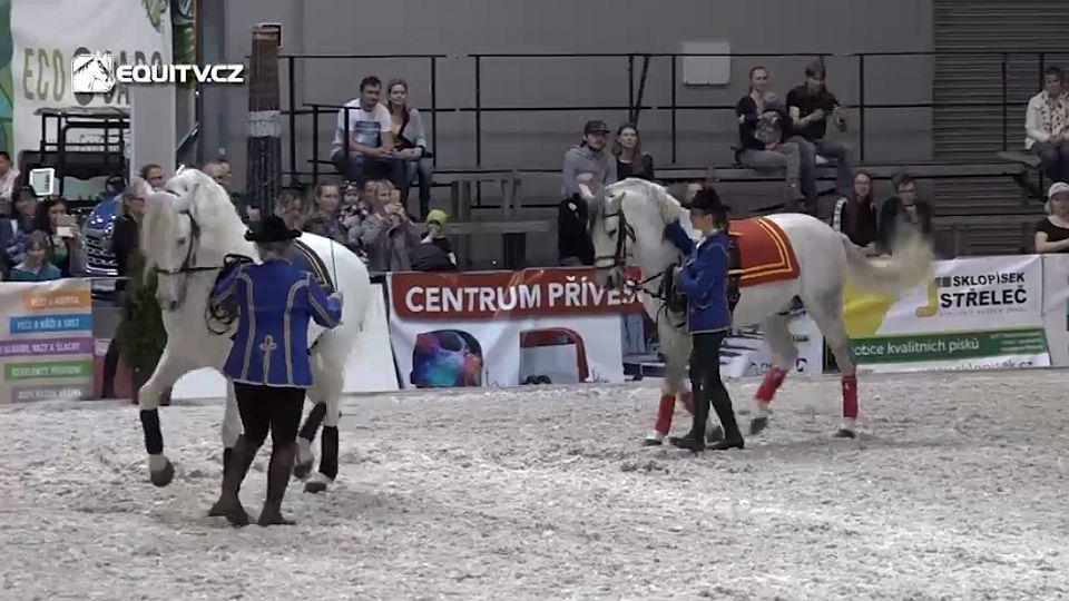 Druhý ročník veletrhu For Horse nabídl pestrý doprovodný program