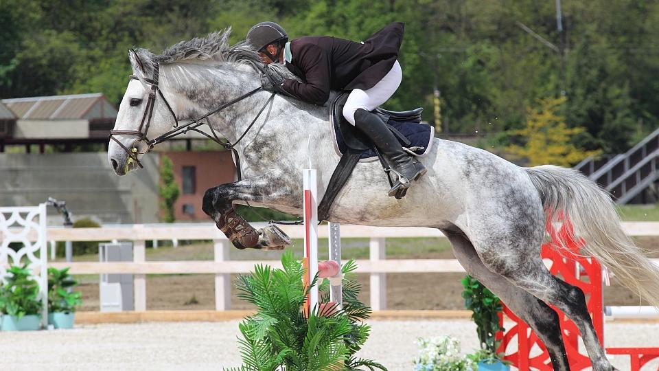 Záznam: Jarní cena Velké Chuchle v parkurovém skákání pro Vondráčka