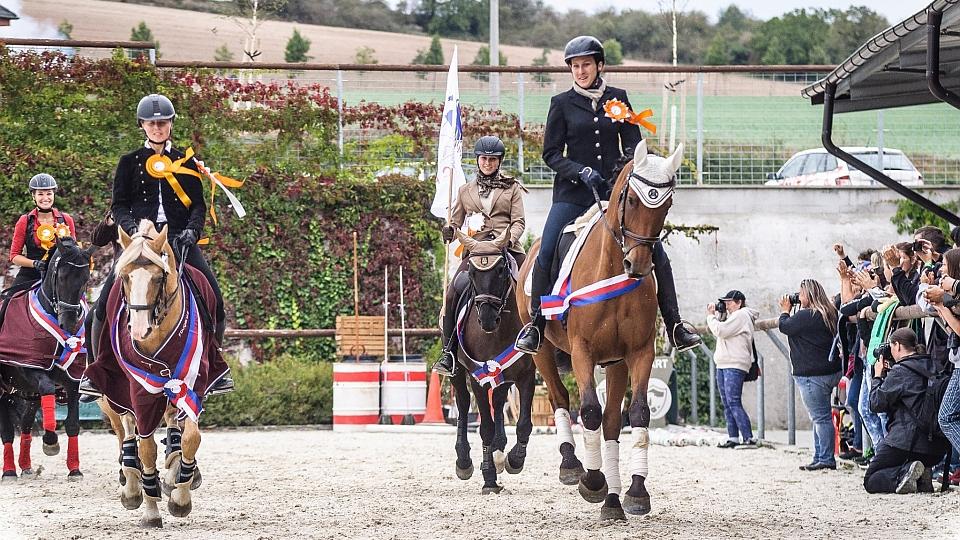 Záznam: Mistrovství ČR ve Working Equitation WECR 2019 v Královicích