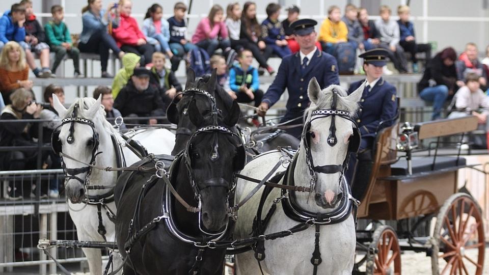 Výstava Kůň 2019 v Lysé zahájena. Vše začalo přesně před 25 lety