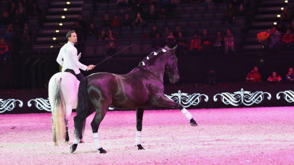 Sélyne a Jérémy Gonzalesovi: Tančící koně? Základ je důvěra