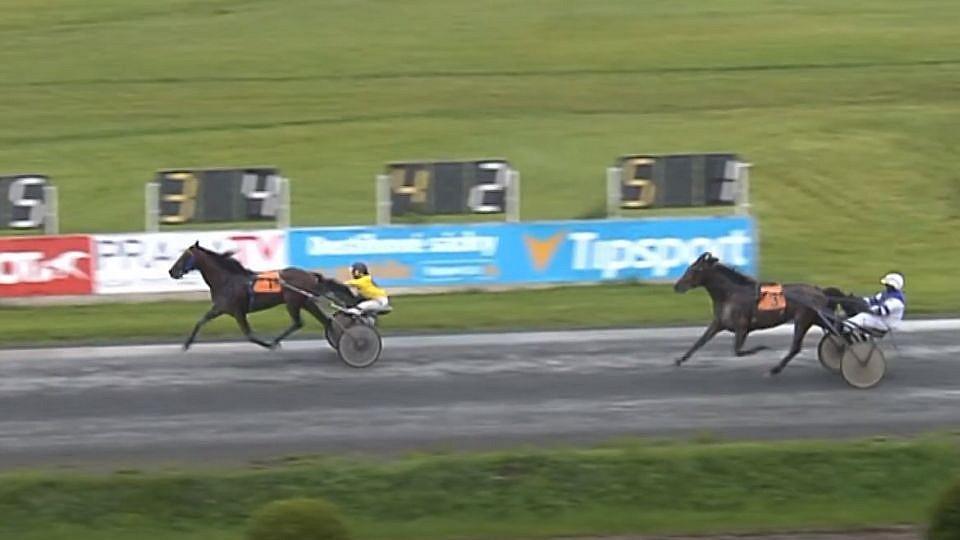 Inaccessible Grou i Fighter Pilot pohotově využili chyb favoritů