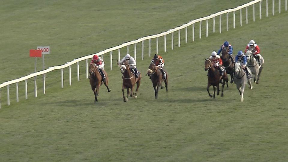 Rovinová sezona pokračovala v Chuchli. Gomba handicap vyhrál Mr Right