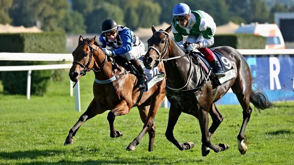 Na jeden pohled: Pusťte si všechny dostihy Evropského poháru žokejů