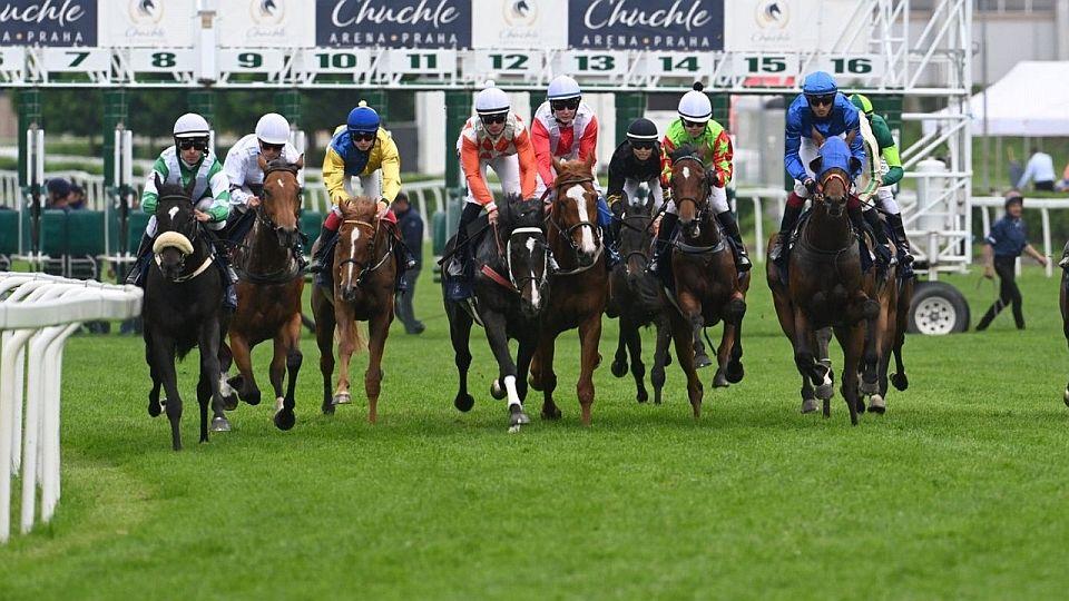 Živě: Gomba handicap s top žokeji. Sledujte zahájení v Chuchle Areně