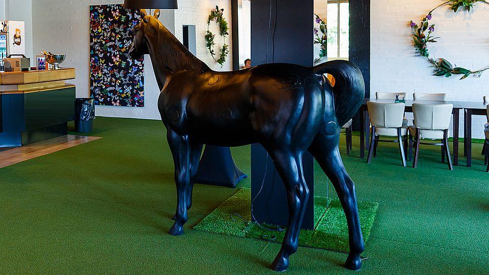 Živě: Kůň roku 2021 a další hvězdy. Sledujte vyhlášení šampionů