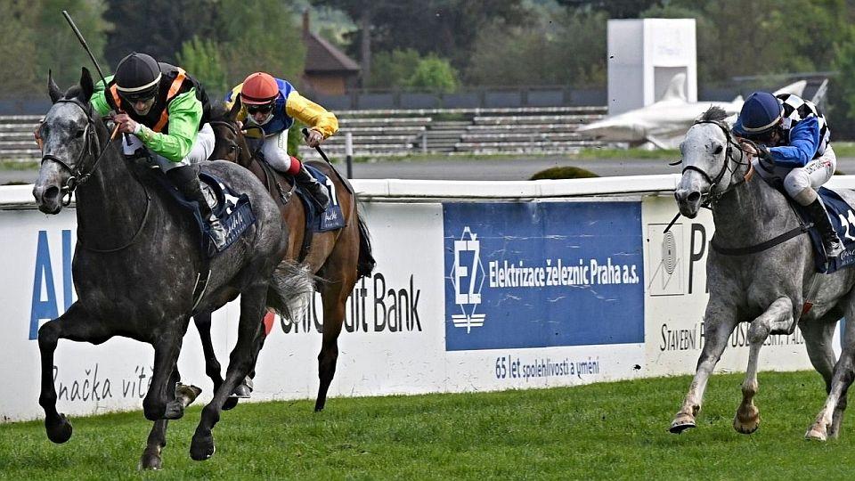 Živě: Elitní mílaři v akci. Sledujte Velkou květnovou cenu v Chuchli