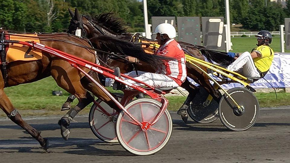 Živě: Jarní cena čtyřletých i starší hvězdy. Klusácká sezona pokračuje