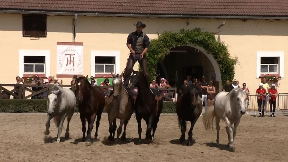 Záznam: Chovatelský den v Tlumačově s kaleidoskopem vystoupení s koňmi