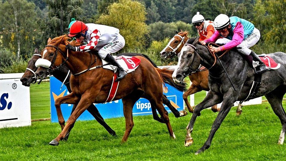 Živě: Kdo bude zimní královnou? Sledujte dostihy v Karlových Varech