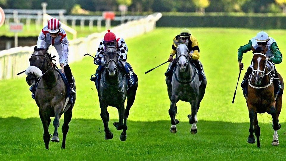 Živě: Napodobí Dally Top matku? Sledujte Memoriál Harryho Petrlíka