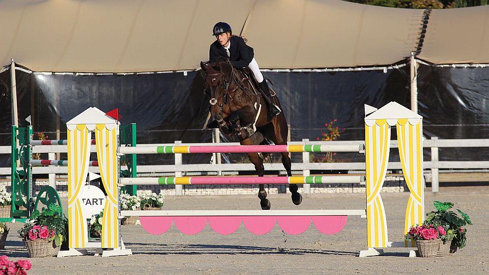 Záznam: Písařík vyhrál Cenu Eliota. Opatrný i Pařenicová chybovali