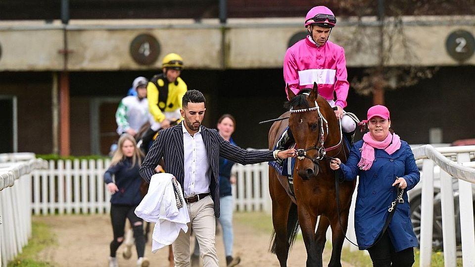 Živě: Nové tváře vyzvou tříletou elitu. Sledujte Velkou jarní cenu