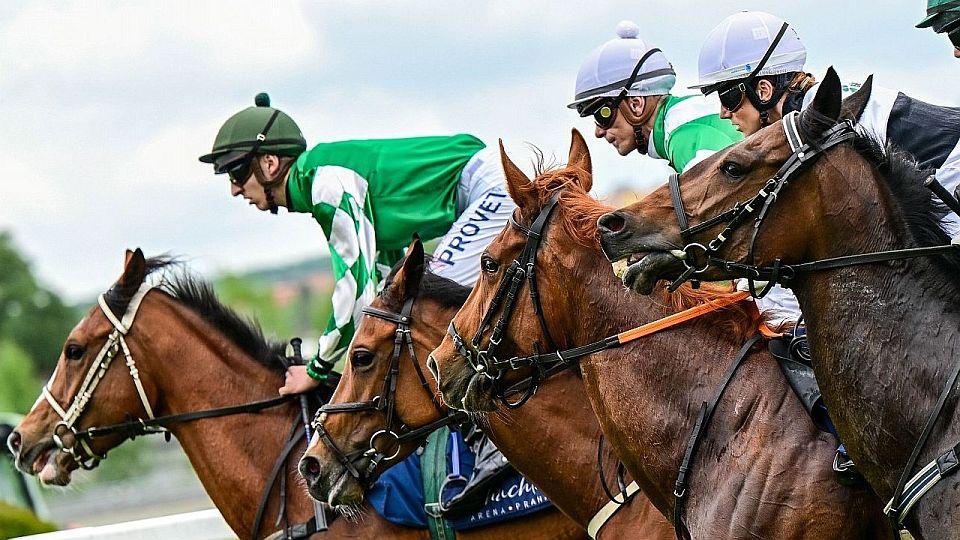 Živě: Elitní mílaři v Chuchle Areně. Sledujte Velkou květnovou cenu