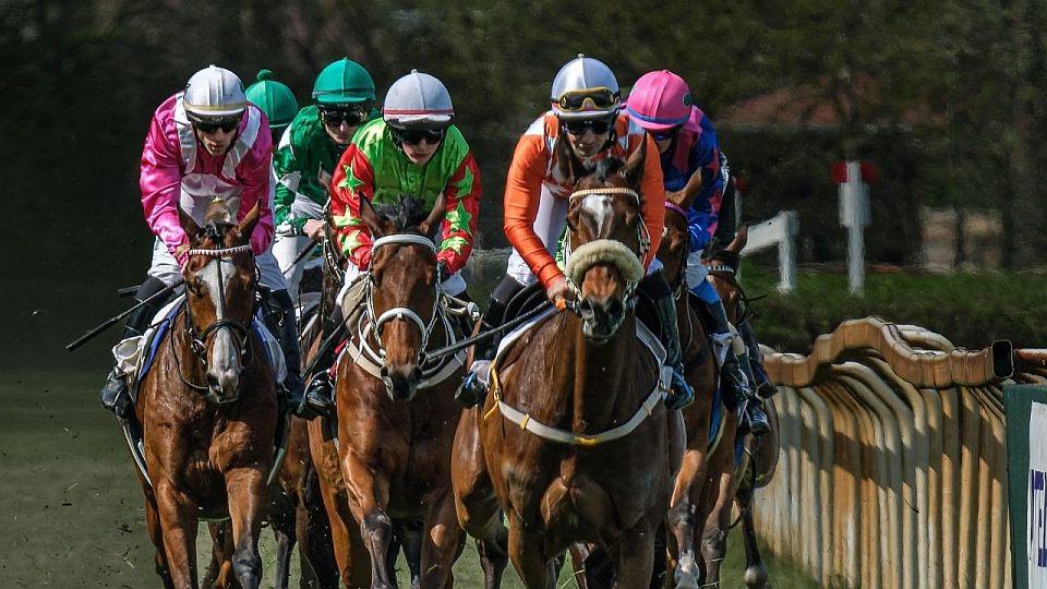 Živě: Sváteční dostihy v Lysé. Sledujte Memoriál Evy Palyzové