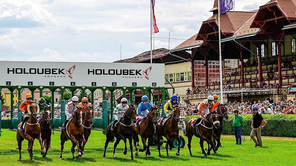 Živě: Karlovy Vary vyhlížejí velký den. Sledujte Oaks holdingu Rabbit