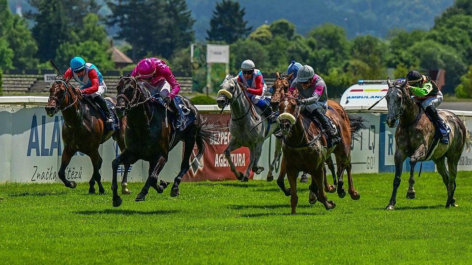 Živě: Den hvězd. Sledujte Leram Million a Velkou cenu českého turfu