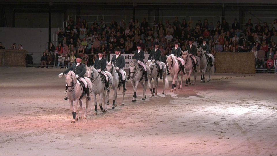 Záznam: Večerní koňská galashow při výstavě Kůň 2023 v Lysé nad Labem