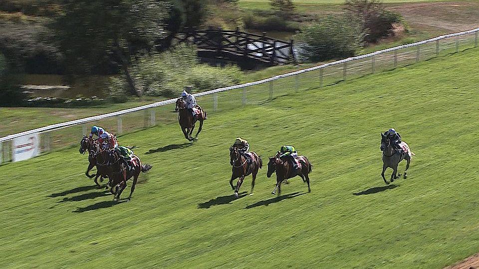 Koně a sport 2025: Cena společnosti Mediag v Karlových Varech