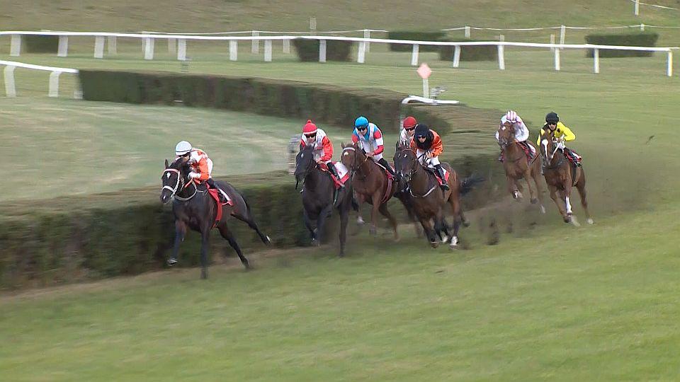 Koně a sport 2025: 104. Svatováclavská cena v Mostě