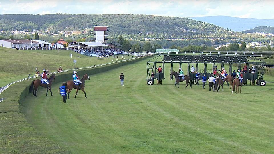 Záznam: Pusťte si Memoriál Pavla Kubína a další dostihy v Mostě 13. 9.