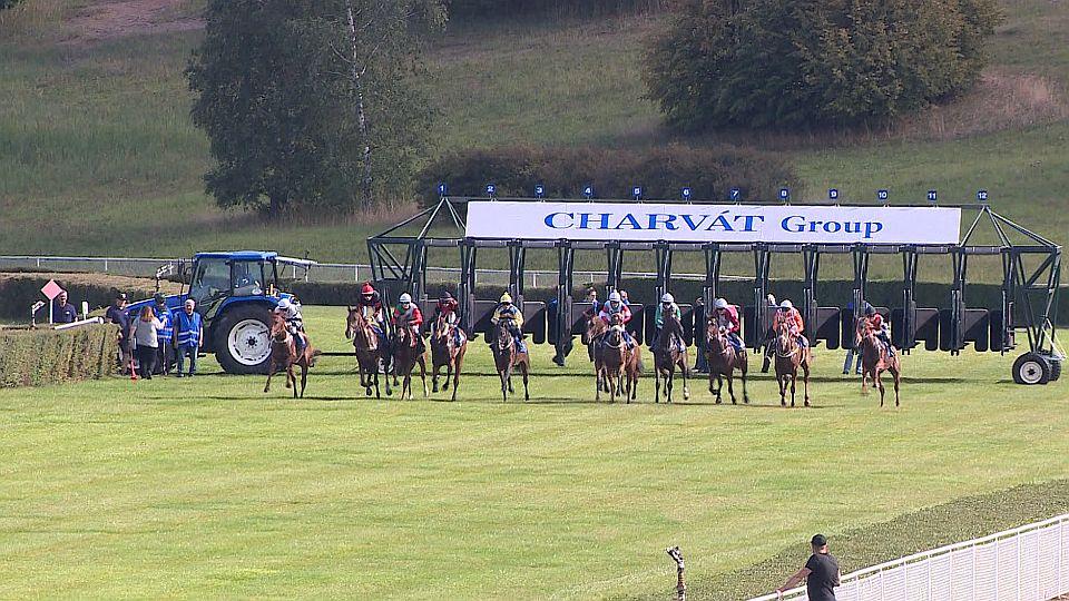 Koně a sport 2025: Memoriál Pavla Kubína na Hipodromu Most