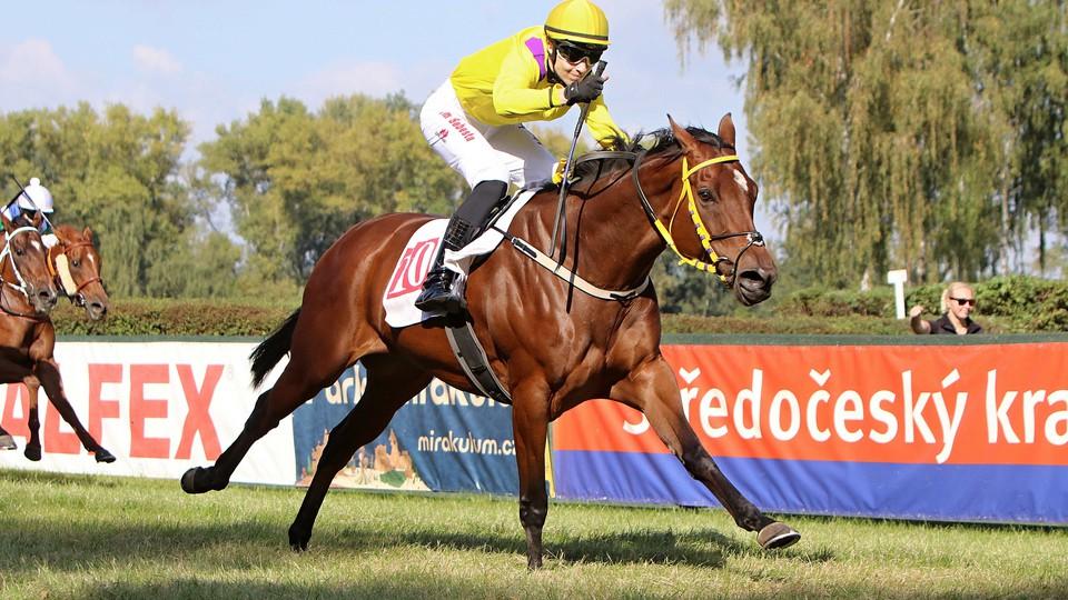 Záznam: Podívejte se na poslední letošní dostihy v Lysé nad Labem 28. 9.