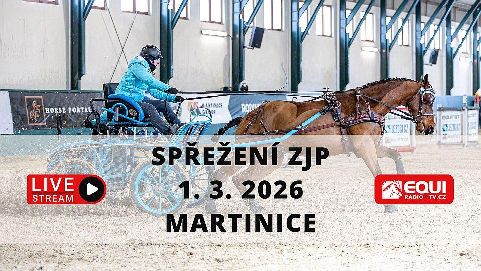 Živě: Sledujte předfinálové kolo vozatajské části ZJP 2026 v Martinicích
