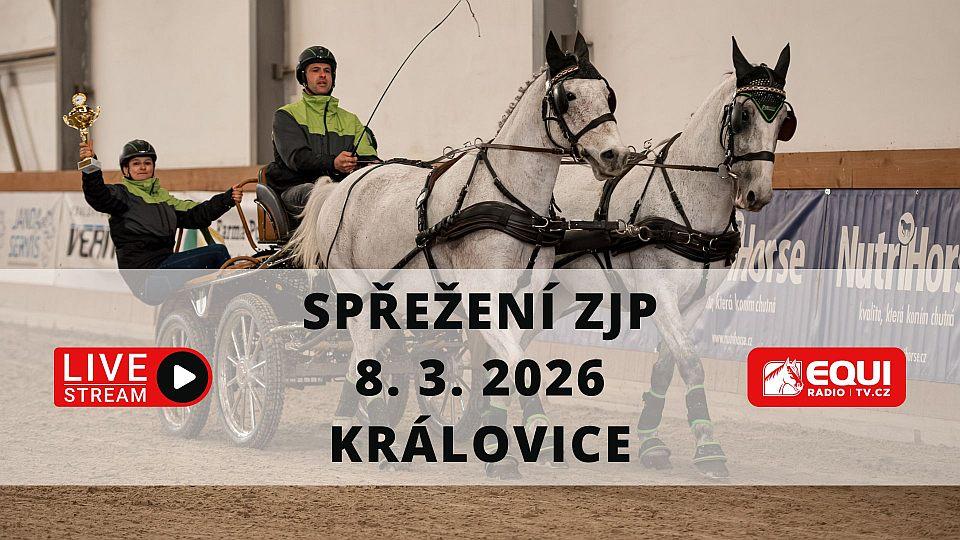 Živě: Sledujte finále Zimního jezdeckého poháru spřežení 2026 v Královicích