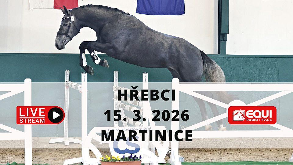 Živě: Sledujte výběr hřebců 2026 do plemenné knihy CS v Martinicích