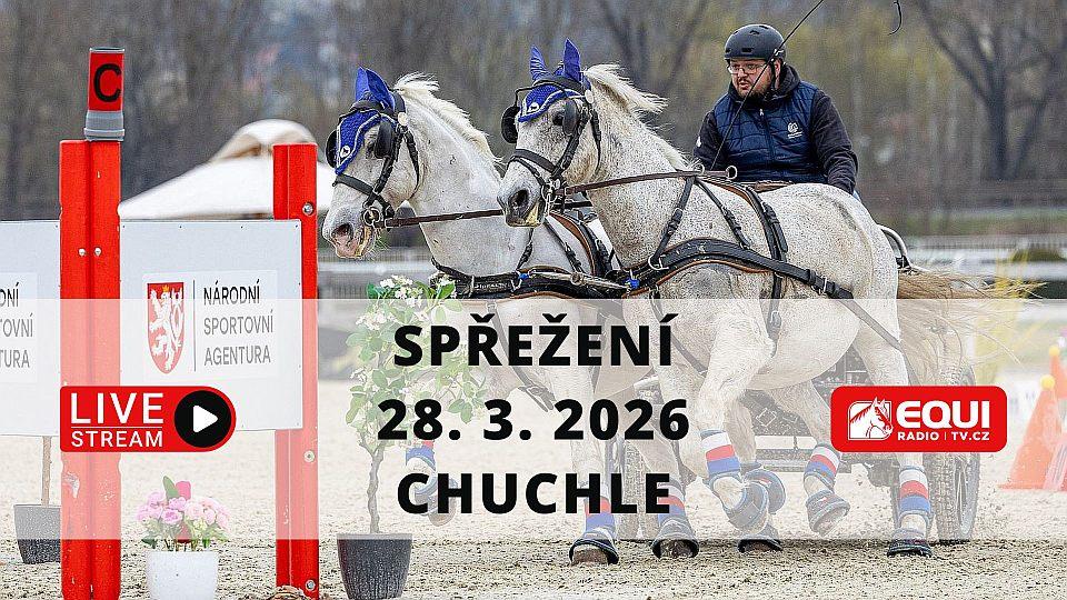 Živě na EquiTV: V Chuchle Areně Praha startuje seriál Open Driving Cup 2026
