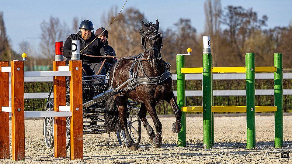 Záznam: Vlašic, Andrs a Sekanina vyhráli při Open Driving Cupu v Chuchli