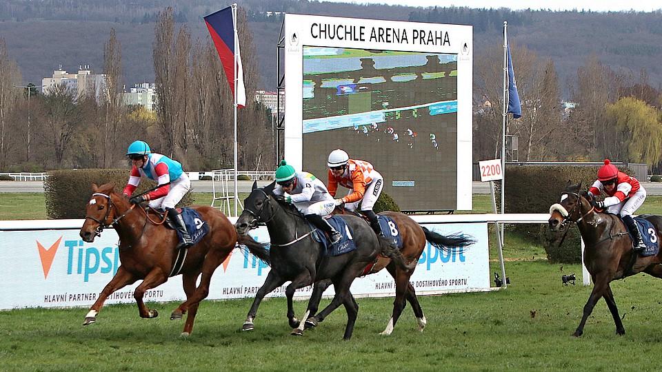 Záznam: Nejen Gomba. Pusťte si všechny dostihy v Chuchle Areně 3. 4.