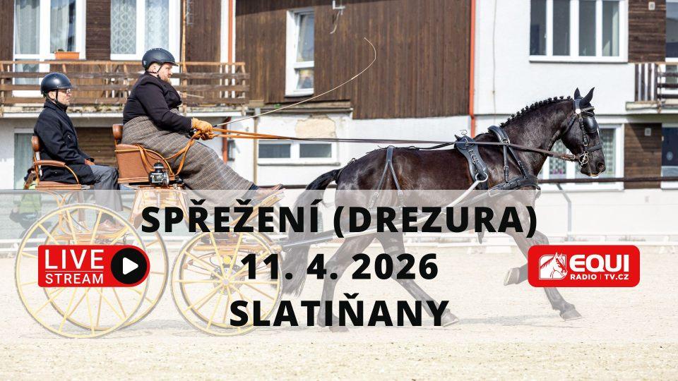 Živě: Vozatajský úvod sezony 2026 ve Slatiňanech. Sledujte drezury