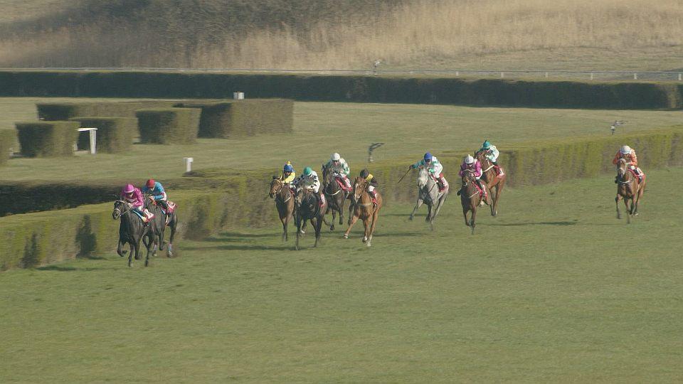 Koně a sport 2026: Memoriál Rudolfa Deyla na Hipodromu Most