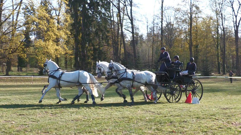 Koně a sport 2026: Jarní závody spřežení ve Slatiňanech