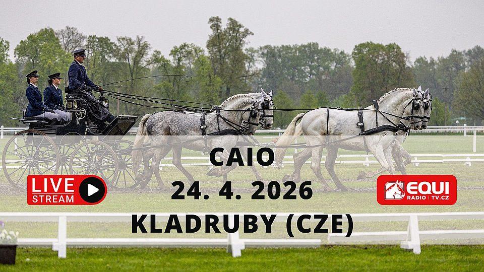 Živě: Sledujte CAIO Kladruby. Rudolfův pohár 2026 má přes sto účastníků