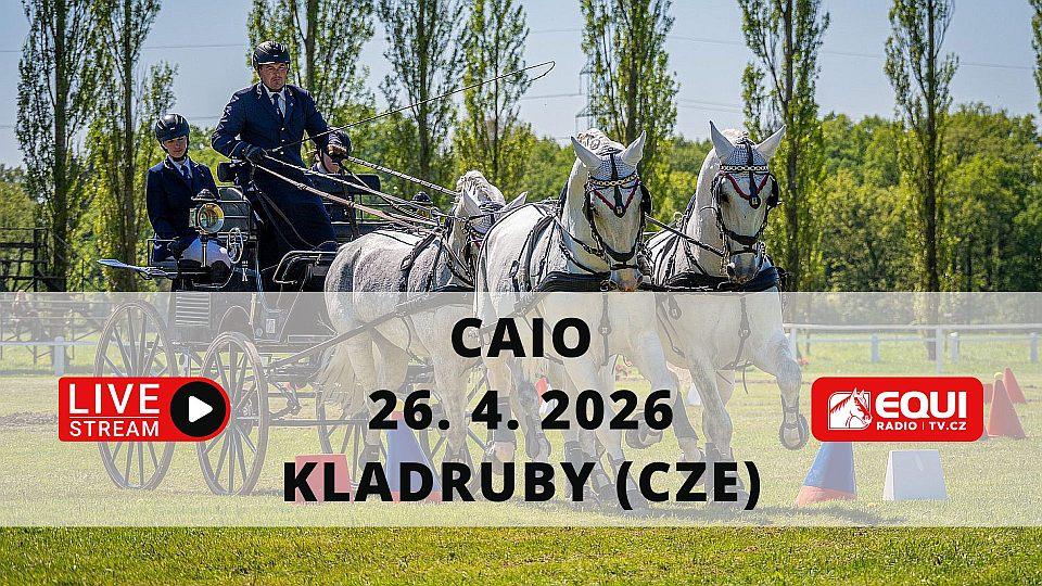 Živě: Sledujte CAIO Kladruby. Rudolfův pohár 2026 má přes sto účastníků