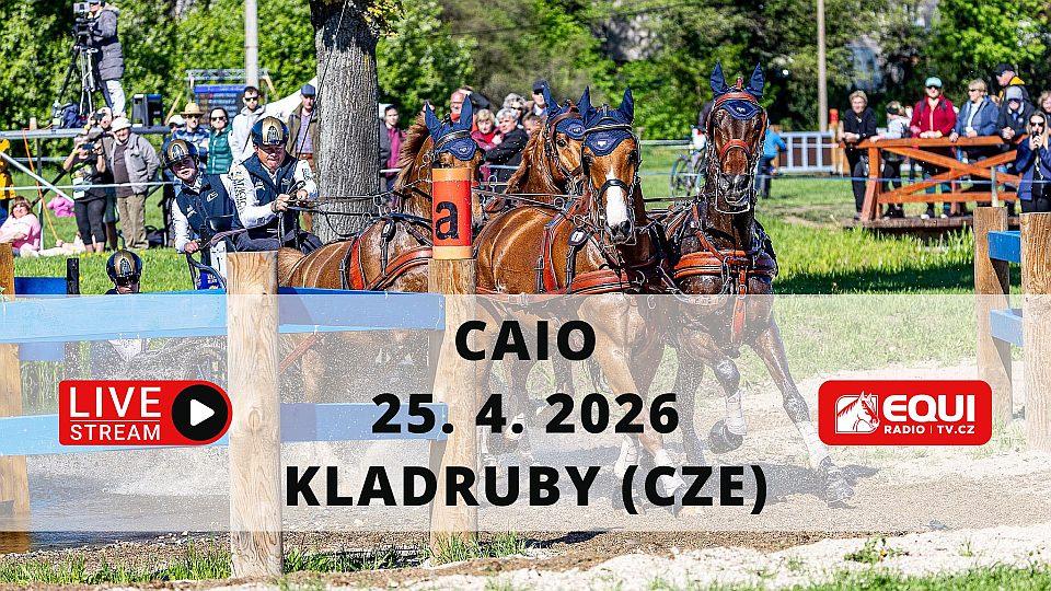 Živě: Sledujte CAIO Kladruby. Rudolfův pohár 2026 má přes sto účastníků