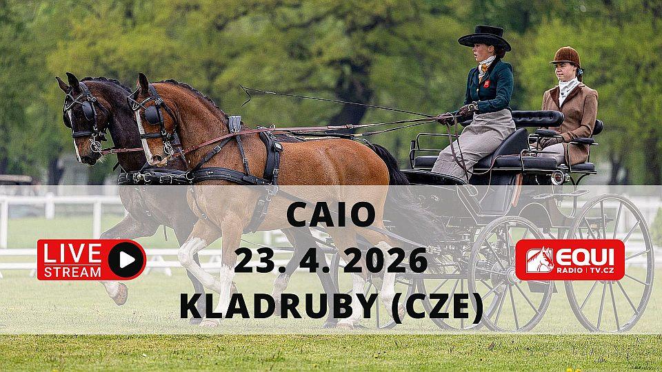 Živě: Sledujte CAIO Kladruby. Rudolfův pohár 2026 má přes sto účastníků